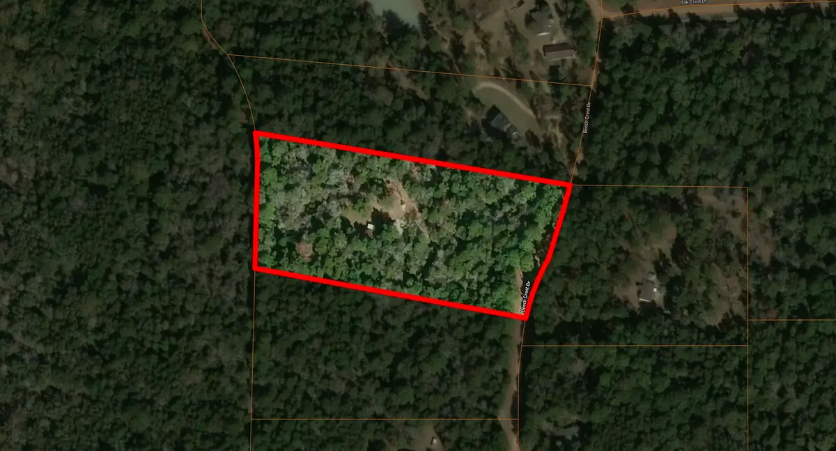1084 Beech Crest Drive, New Ulm, TX 78950 - #1