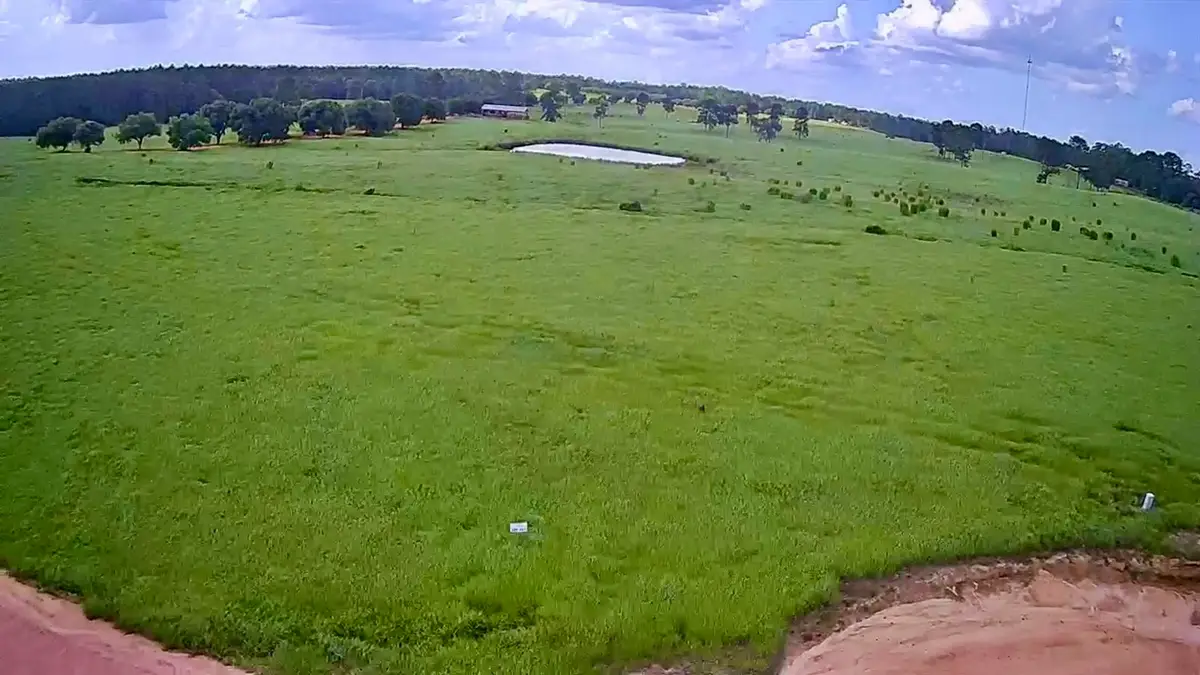 LOT 247 Meadowview Dr, Hillister, TX 77624 - Image #1