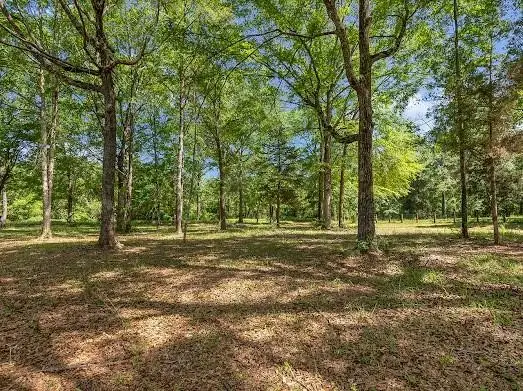 195 Parrish Barrett Circle, Bronson, TX 75930 - Image #3