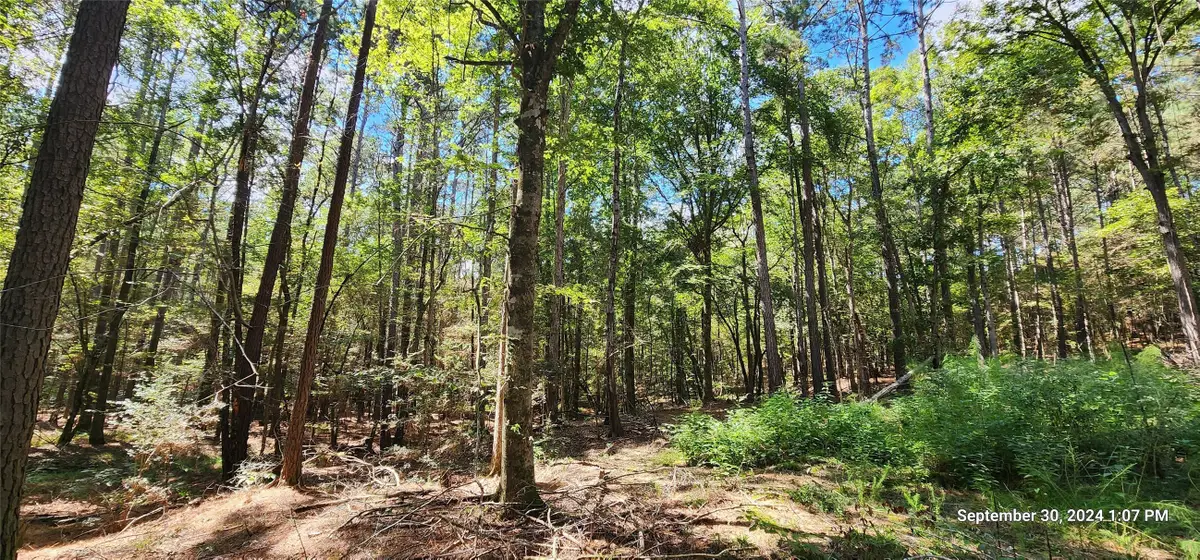 TBD County Road 405, San Augustine, TX 75972 - Image #1