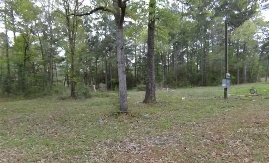 248 Ayres Street, Corrigan, TX 75939 - #3
