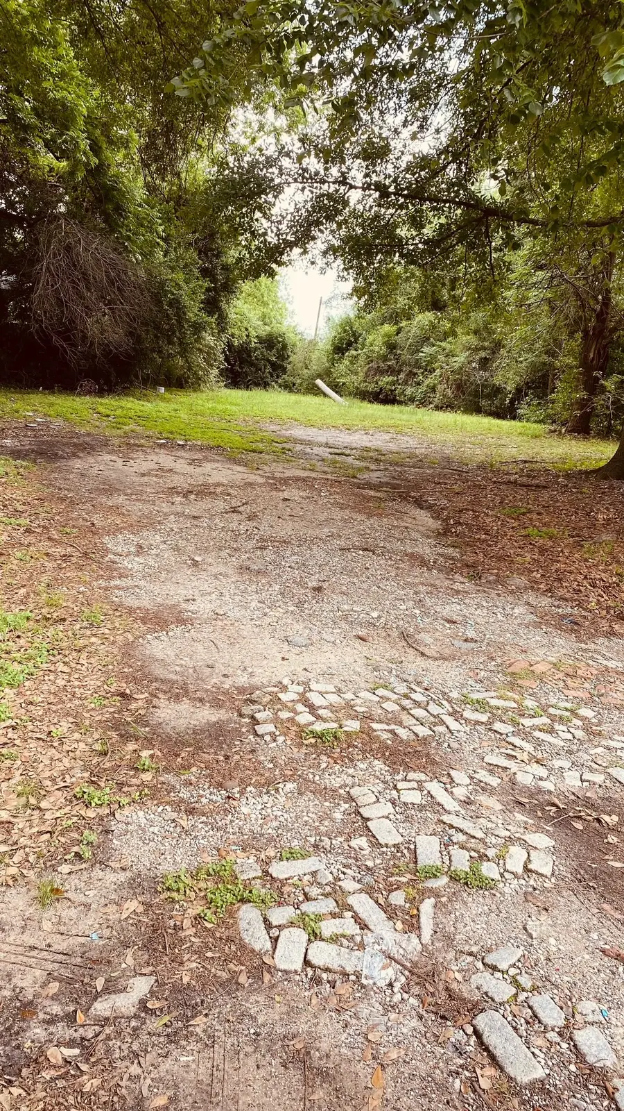 0 Ringold, Houston, TX 77088 - #2