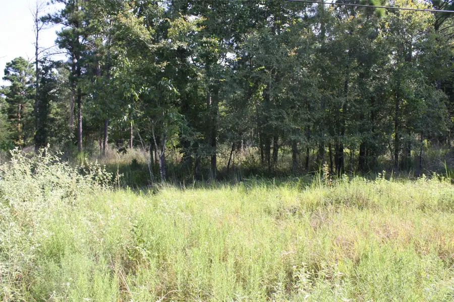 Lot 1 Morris Lane, Huntsville, TX 77320 - Image #3