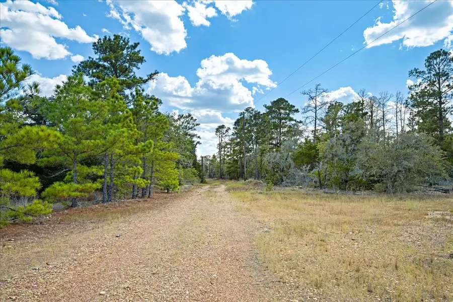 4605 Rocky Creek Road, La Grange, TX 78945 - #3