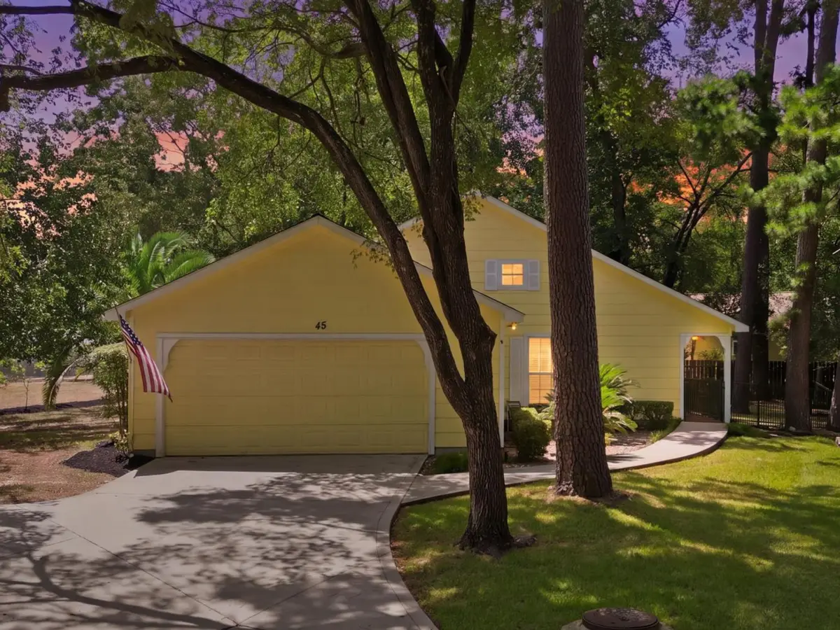 45 Night Hawk Place, The Woodlands, TX 77380 - #1