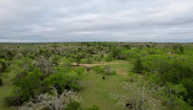 TBD Cr 412, Gonzales, TX 78629 - Image #2
