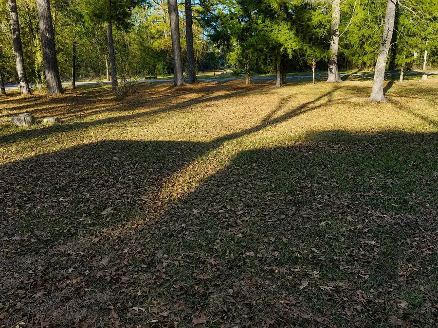 TBD Acorn, Livingston, TX 77351 - #2