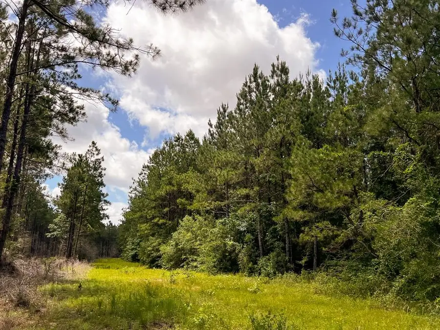 0000000 Kelley Road, Livingston, TX 77351 - #3