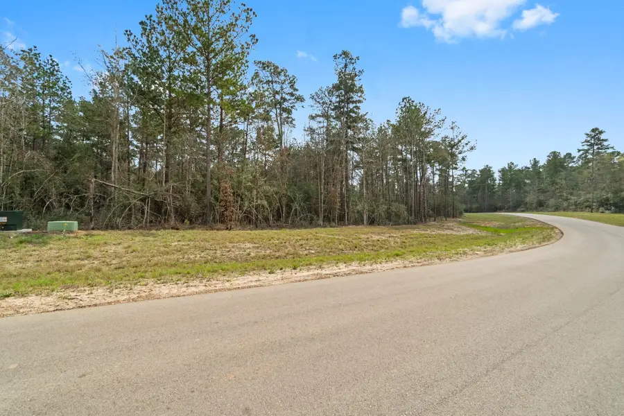 15370 Red Hawk Road, Willis, TX 77378 - #2