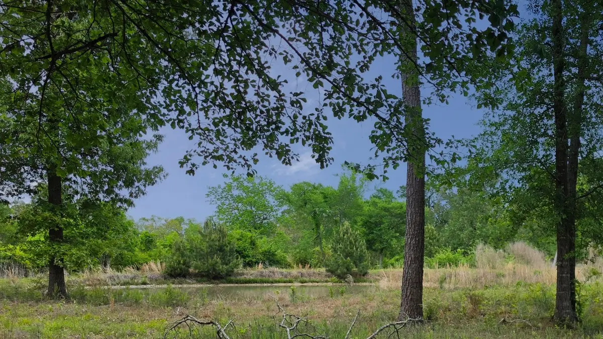 35 Lacee Lane, Huntsville, TX 77320 - #1