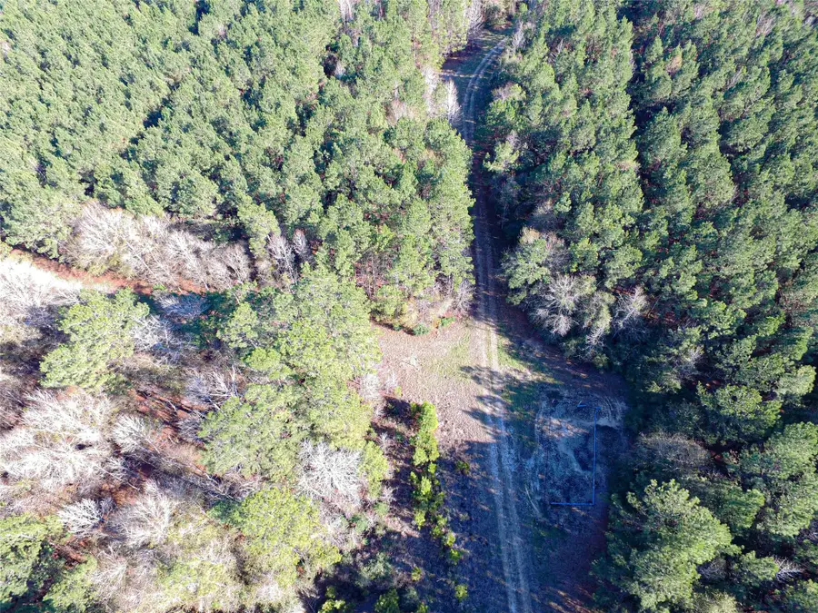 723 Mike Road, Livingston, TX 77351 - Image #2