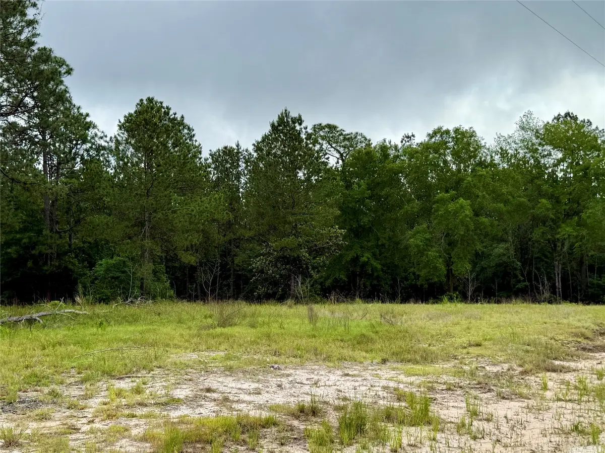 8640 Carter Ranch Road, Kountze, TX 77625 - Image #1