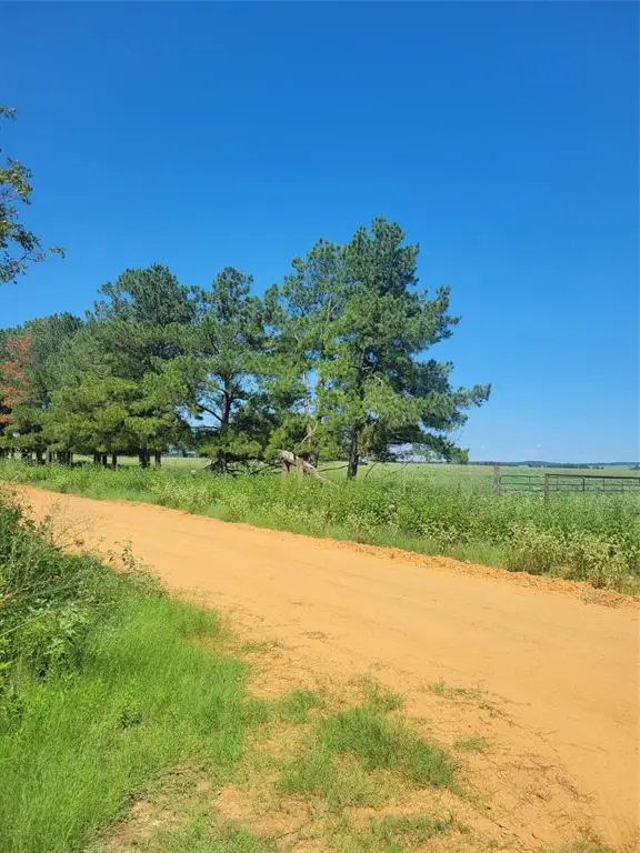 #2 Navarro Lane, Grapeland, TX 75855