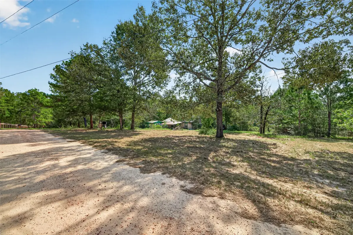 1336 Darrel Hall Drive, Trinity, TX 75862 - #1