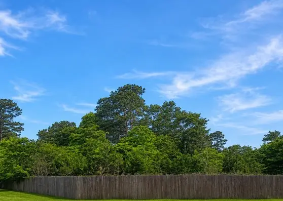 0 Spanish Oaks Drive, New Caney, TX 77357 - #1