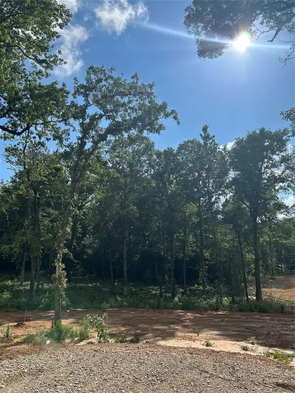 11363 Annie Creek Drive, Willis, TX 77378