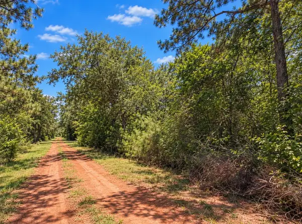 00 Deerwood Dr, Hempstead, TX 77445