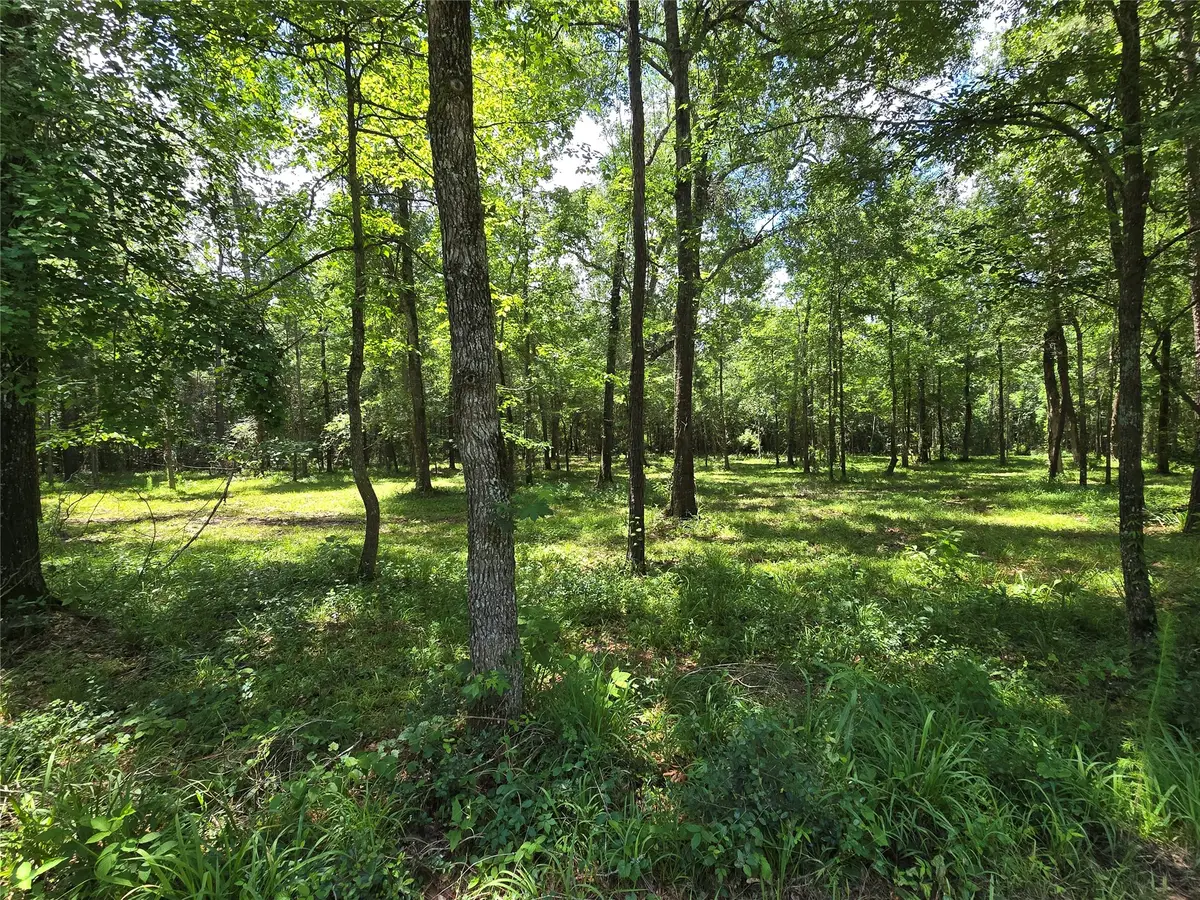 00 TBD Hwy 150 W, Coldspring, TX 77331 - #1