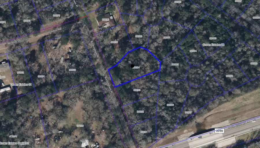 0000 Crown Estates, Conroe, TX 77306 - Image #2