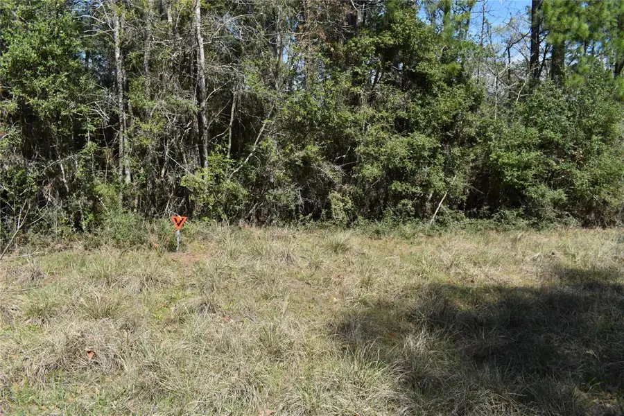 TBD Eagle Lane, Livingston, TX 77351 - #3