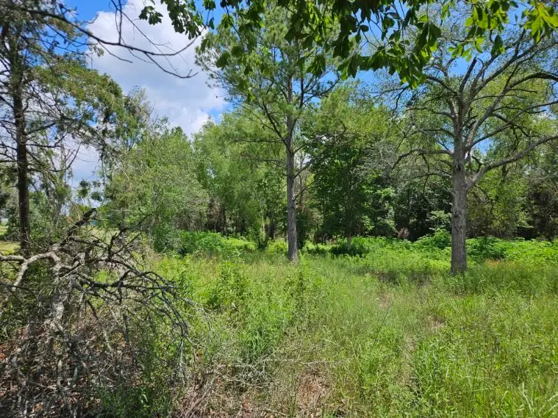 0 Bracewell Road, Bedias, TX 77831 - Image #3