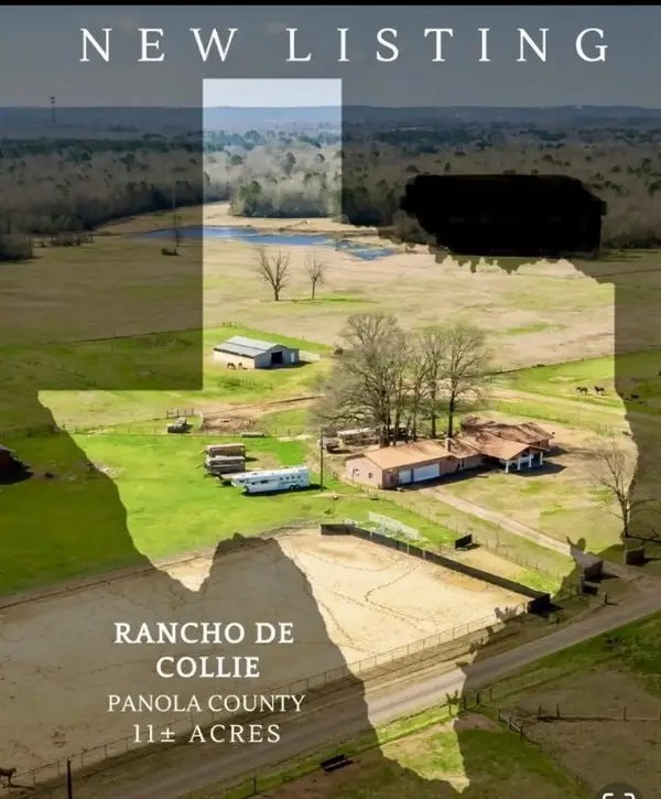 511 County Road 161, Long Branch, TX 75669