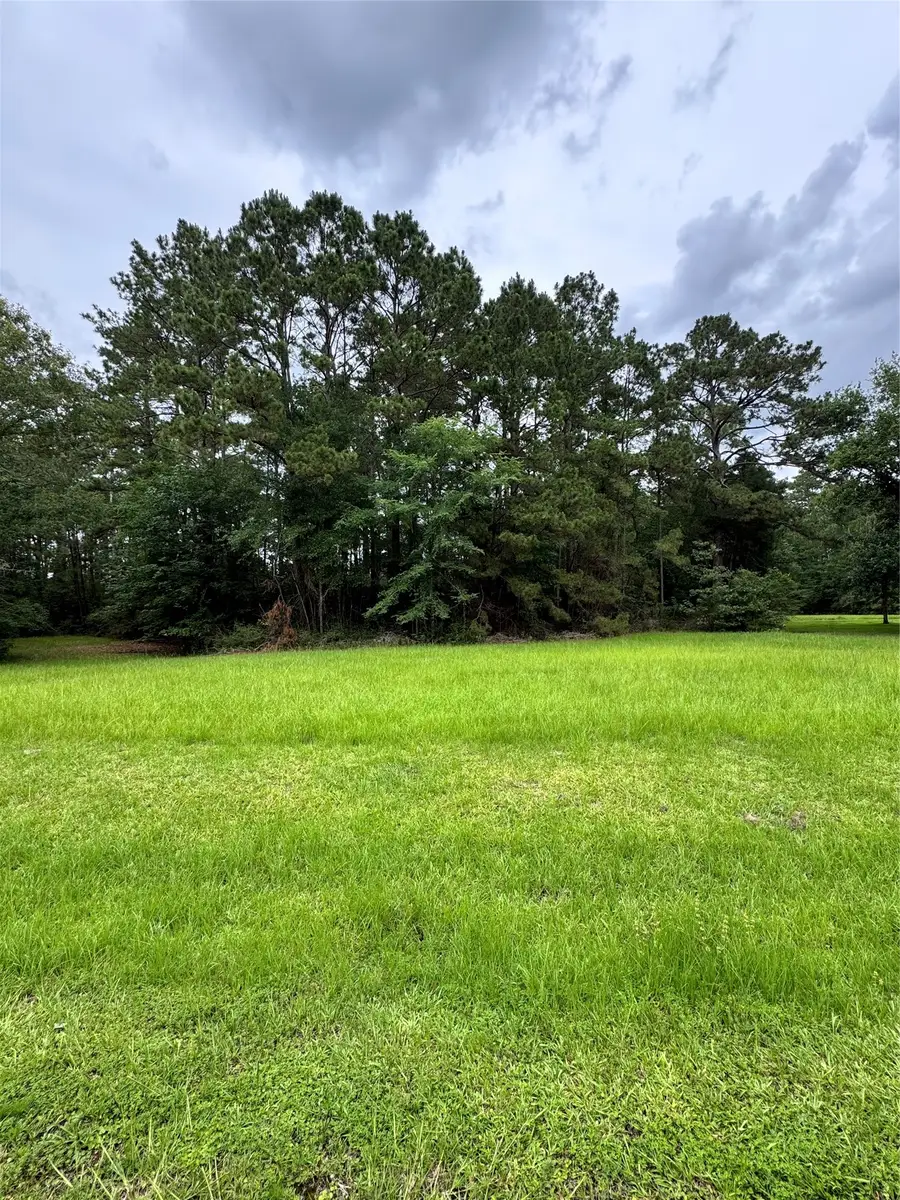 78 Rolling Springs, Trinity, TX 75862 - #2