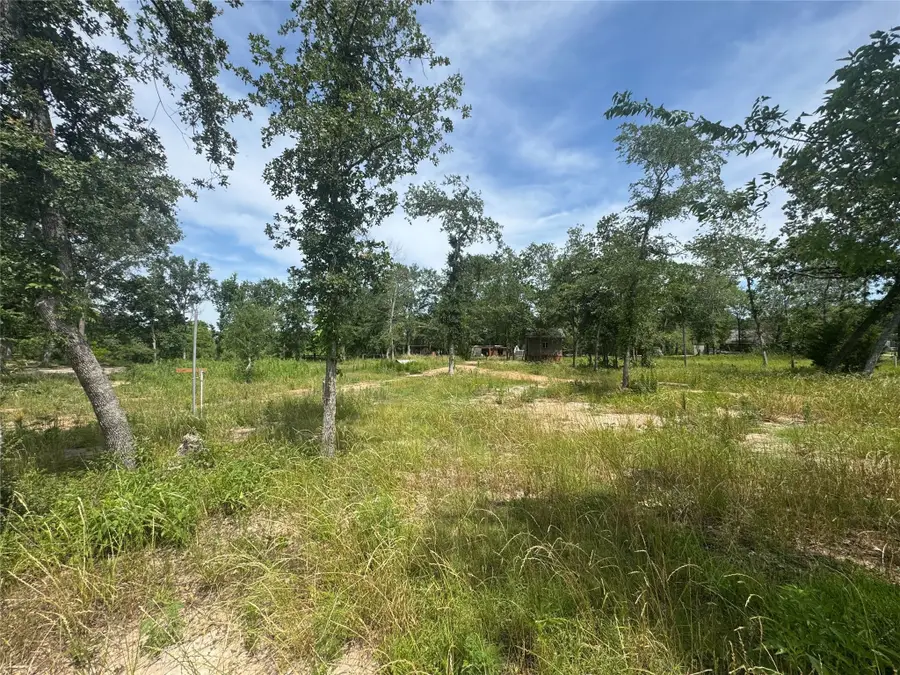 38056 S Bonnie Lake Drive, Hempstead, TX 77445 - Image #3