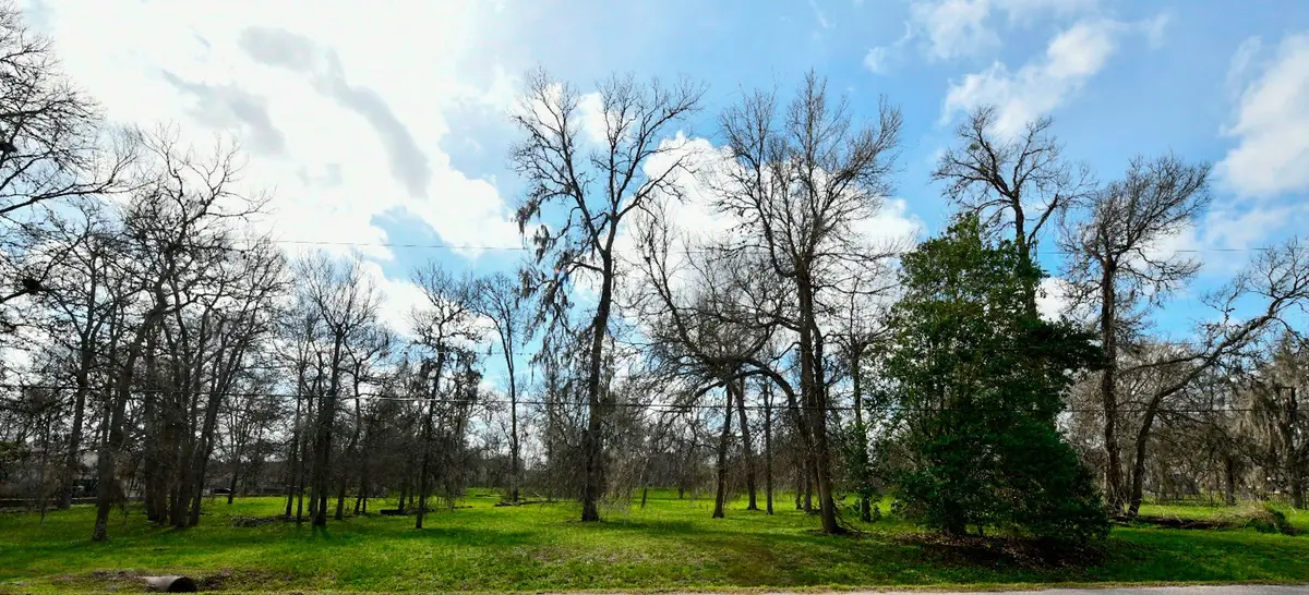 15827 Oleta Lane, Sugar Land, TX 77498 - #1