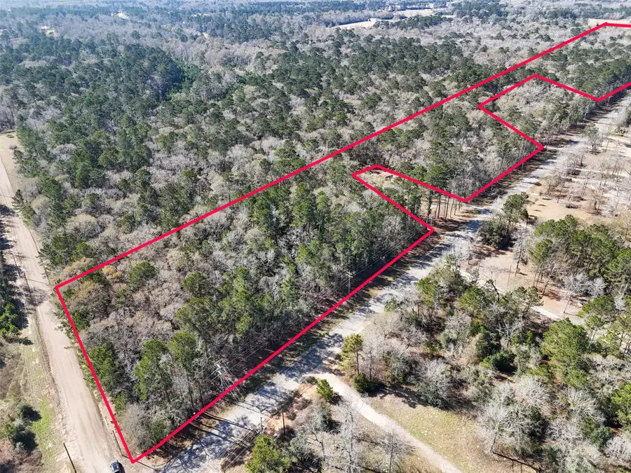 TBD County Line Rd Parcel 2, Willis, TX 77318 - Image #3