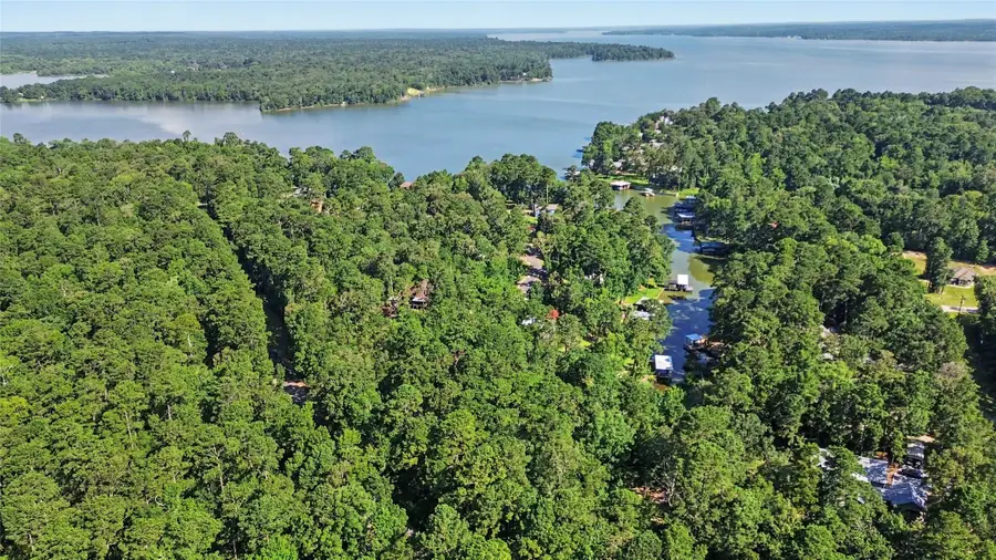 20 Lower Cove Drive, Point Blank, TX 77364 - #2