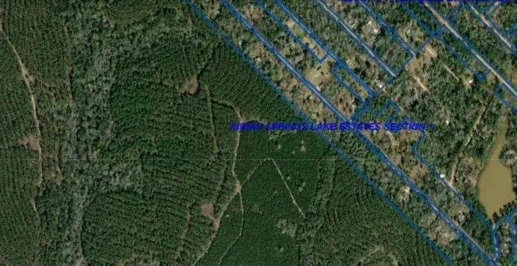 Lots 83 & 84 Gordon Drive, Livingston, TX 77351 - Image #2