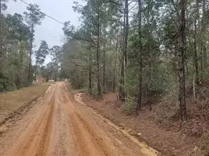 Lots 83 & 84 Gordon Drive, Livingston, TX 77351 - Image #3