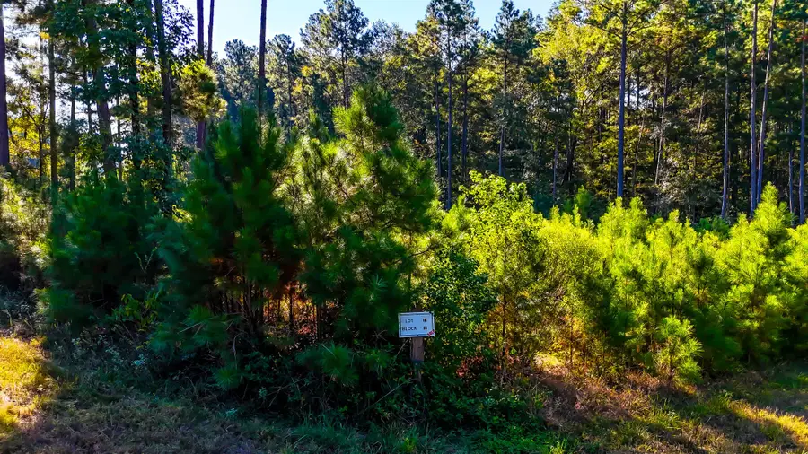 018 Red Hawk Road, Huntsville, TX 77340 - #2