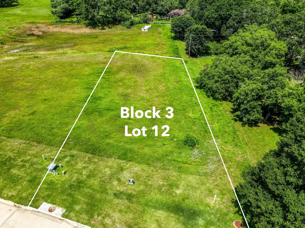 2404 Oak Hollow Lane, Brenham, TX 77833 - Image #1