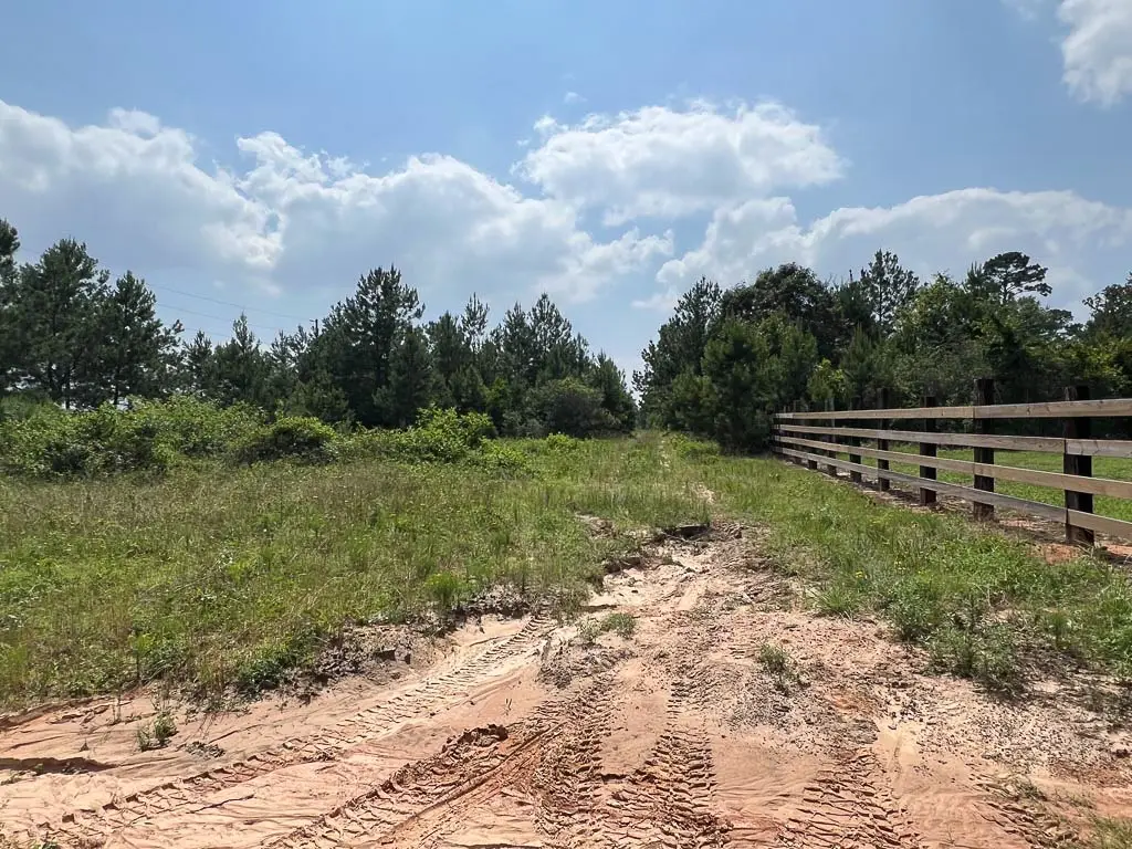 0004 Sh 249, Navasota, TX 77868 - Image #1