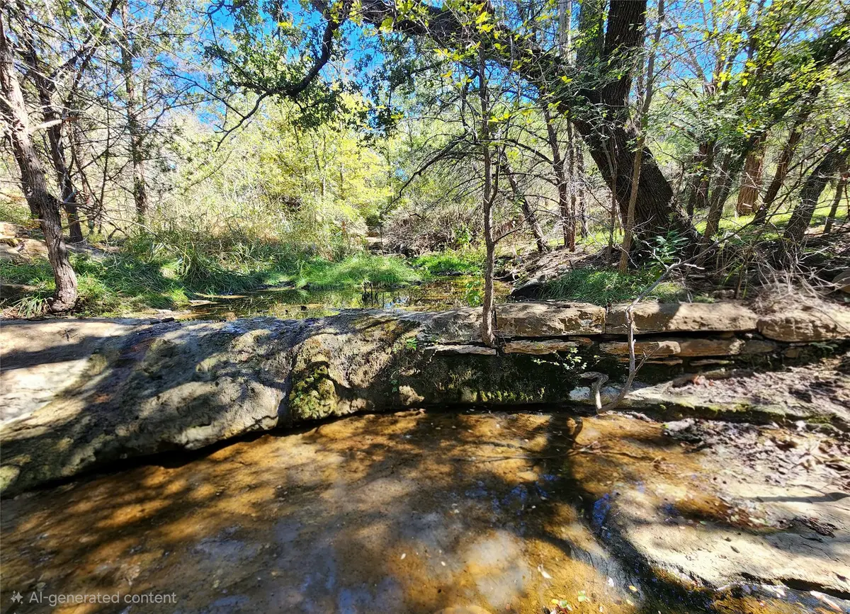 000 Forest Dr, Burnet, TX 78611 - Image #1