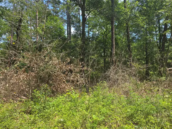 12949 Cedar Tree Court, Plantersville, TX 77363