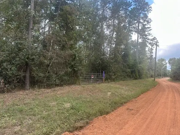 1 Salem Church Rd, Willis, TX 77378