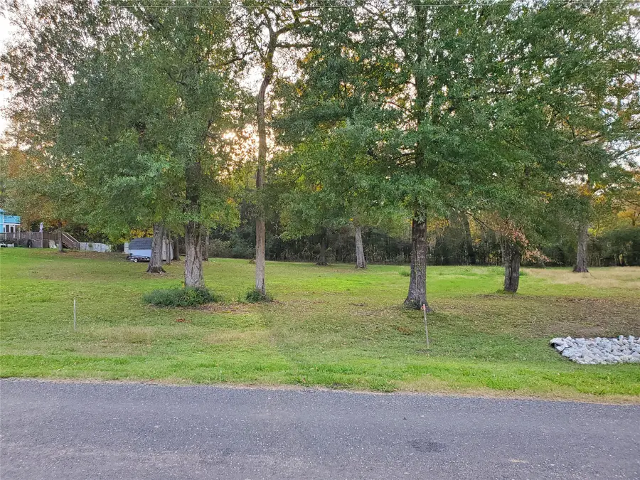 TBD Paradise Drive, Coldspring, TX 77331 - Image #2
