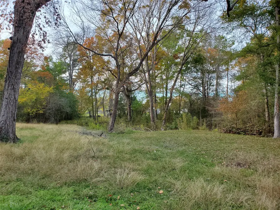 TBD Paradise Drive, Coldspring, TX 77331 - Image #3