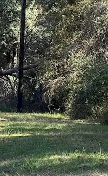 TBD Clark Road, Plantersville, TX 77363 - Image #3