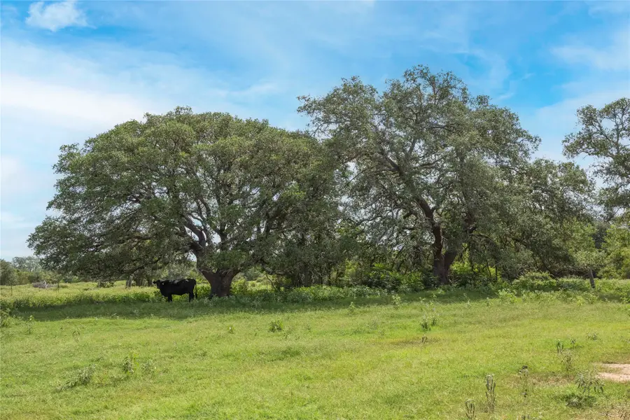 TBD Cr 212 - Tract 5, Hallettsville, TX 77964 - Image #2