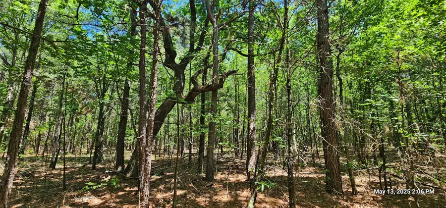 TBD Cr 3233, Clarksville, TX 75426 - Image #3