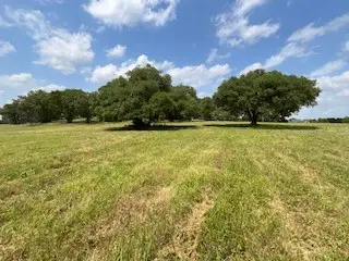 1670 Big Easy Ranch Lane, Columbus, TX 78934 - Image #3