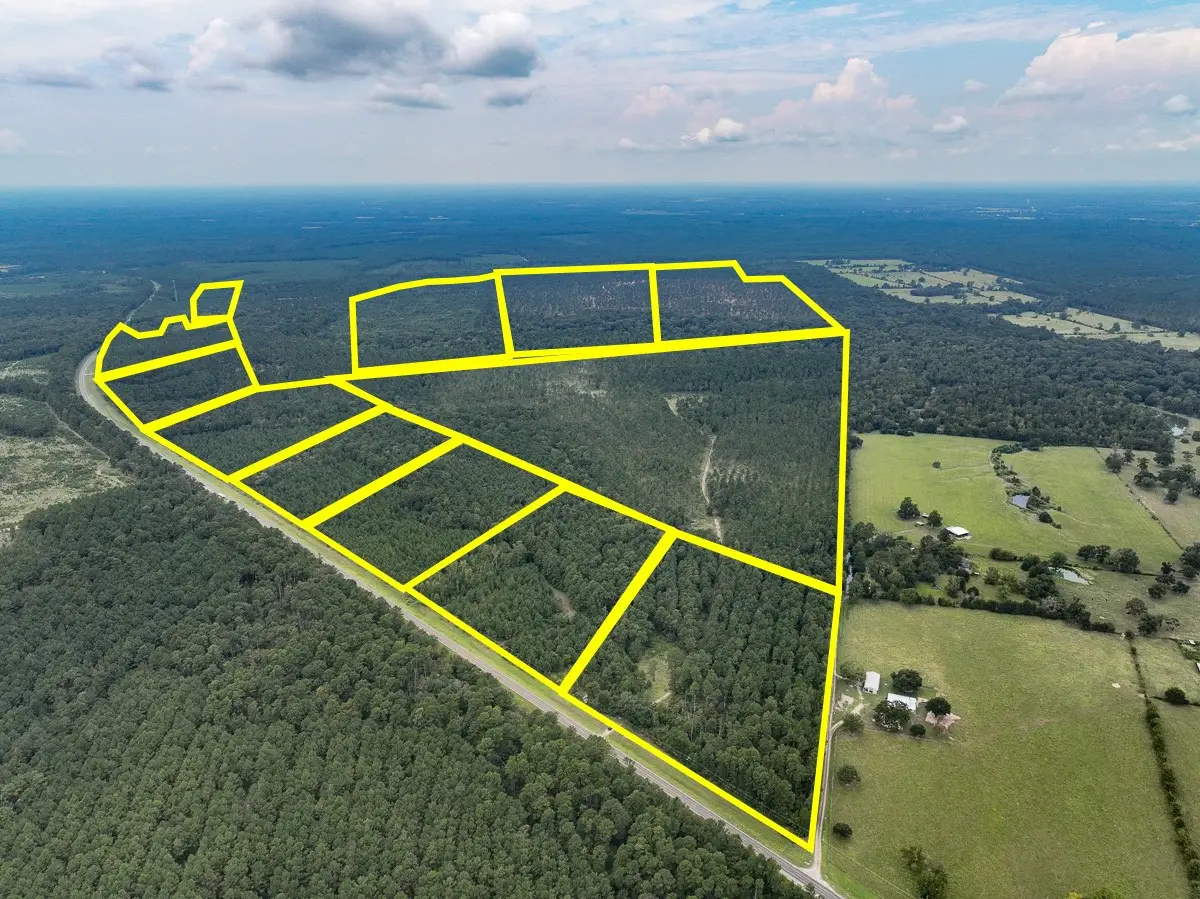 36 Highway 94 Road, Groveton, TX 75845 - #1