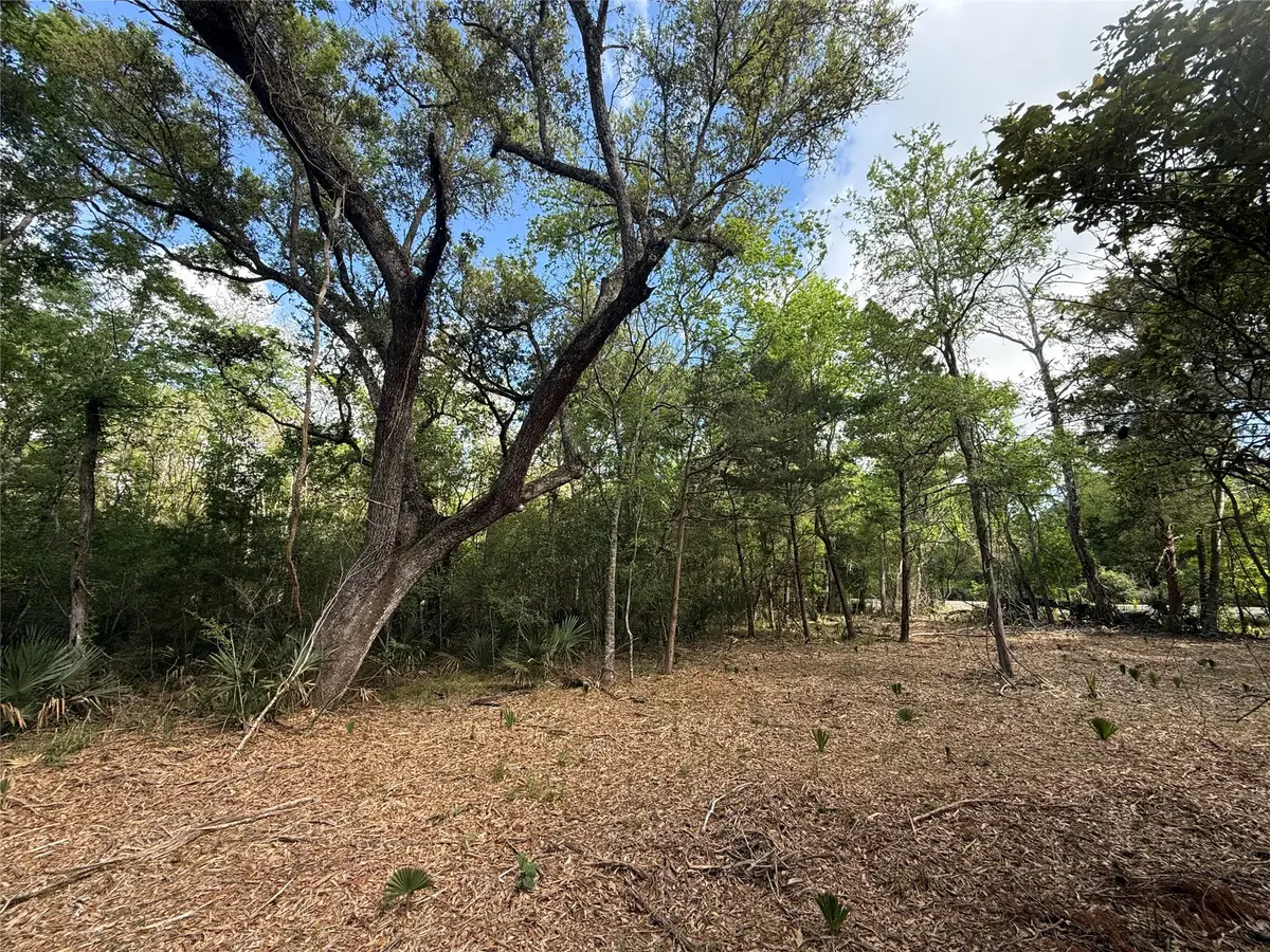 1 Cr 289, Sweeny, TX 77480 - #1