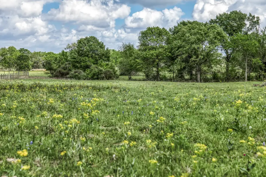 TBD Henson Road, Hempstead, TX 77445 - #3