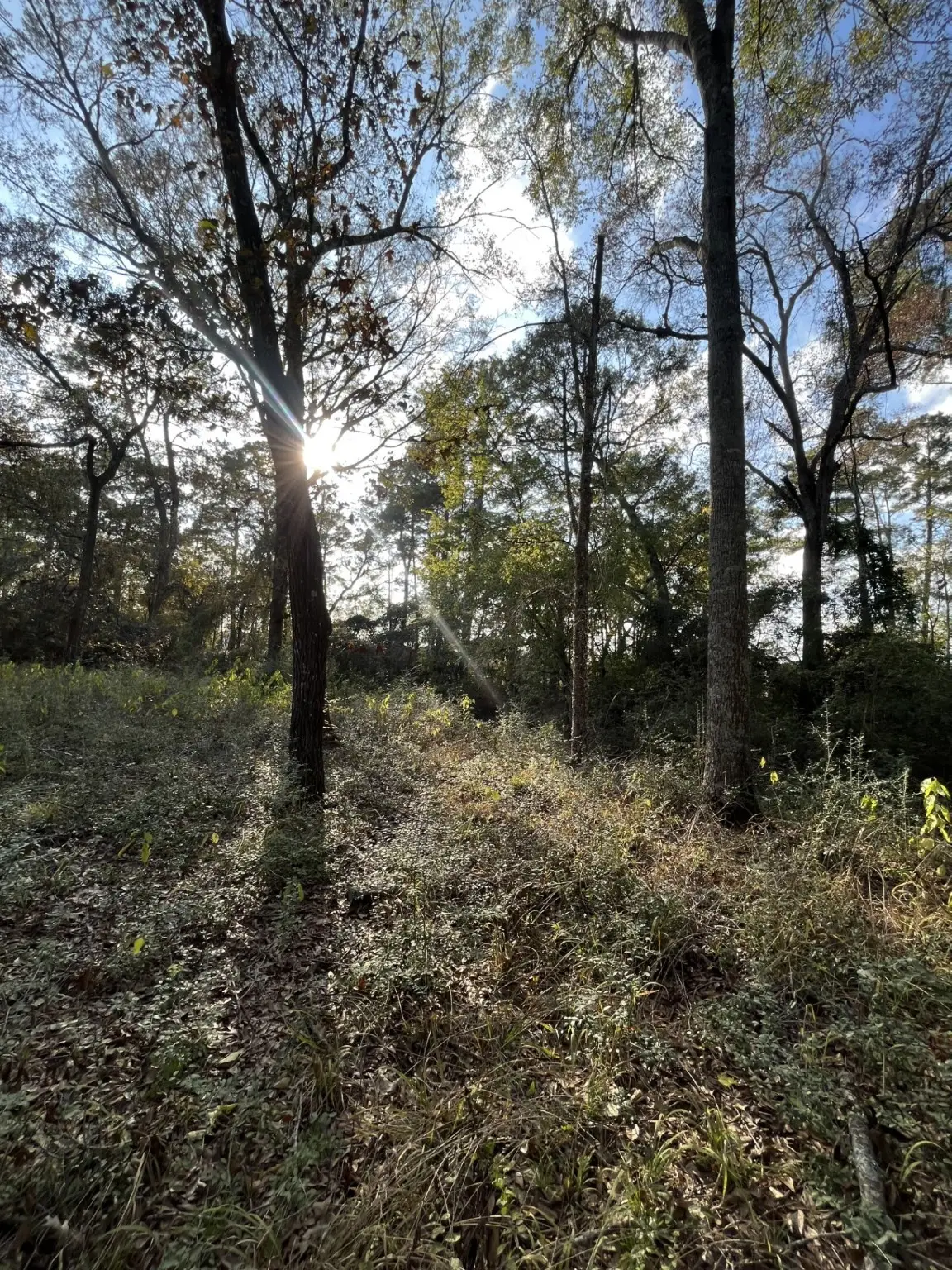 26870 Lazy Ln, Magnolia, TX 77355 - Image #1