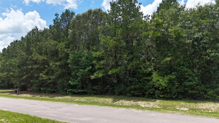 8524 Crown Lake Court, Montgomery, TX 77316 - #2